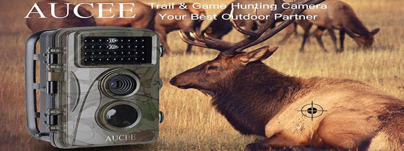 Aucee Hunting Camera