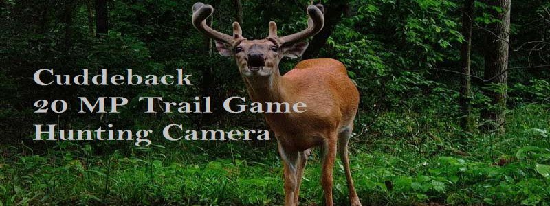 Cuddeback 20 MP Trail Game Hunting Cam Review