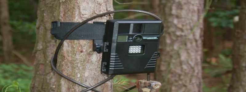 How To Use The Trail Camera