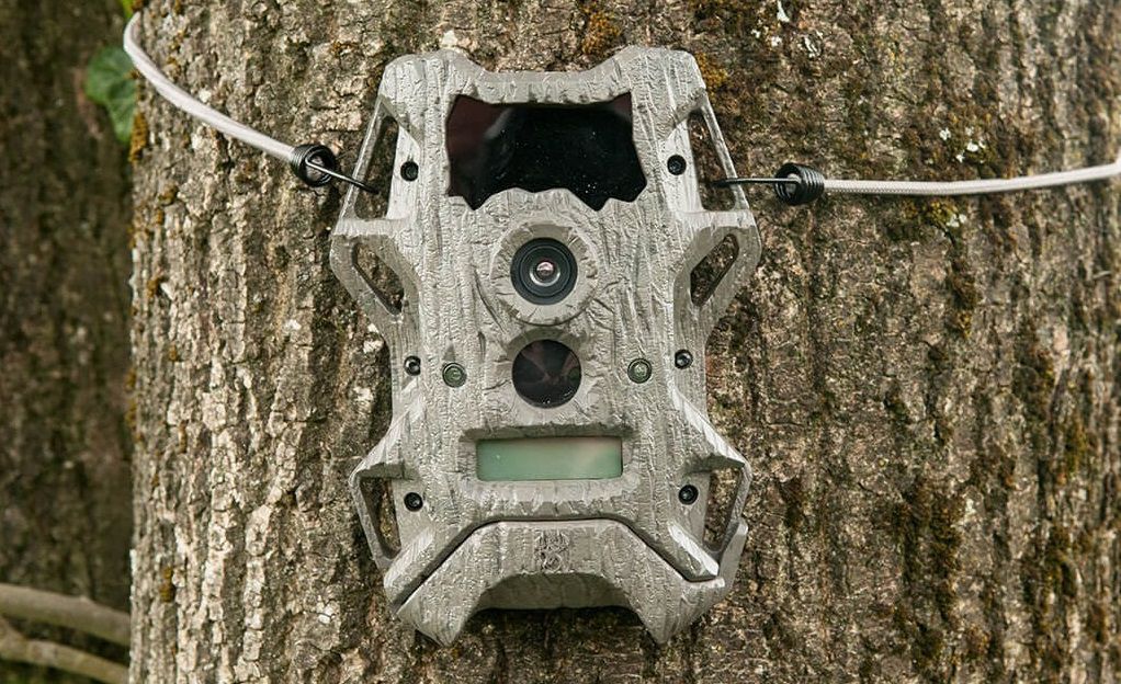 Wildgame Innovations Cloak Pro Trail Camera Review