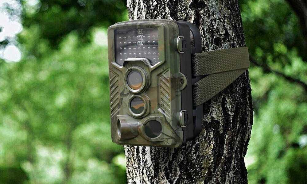 Different Types Of Game Camera "The Best Guide For The User's"