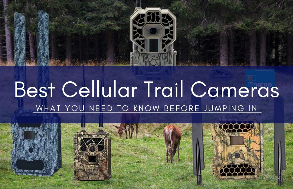 best cellular trail cameras