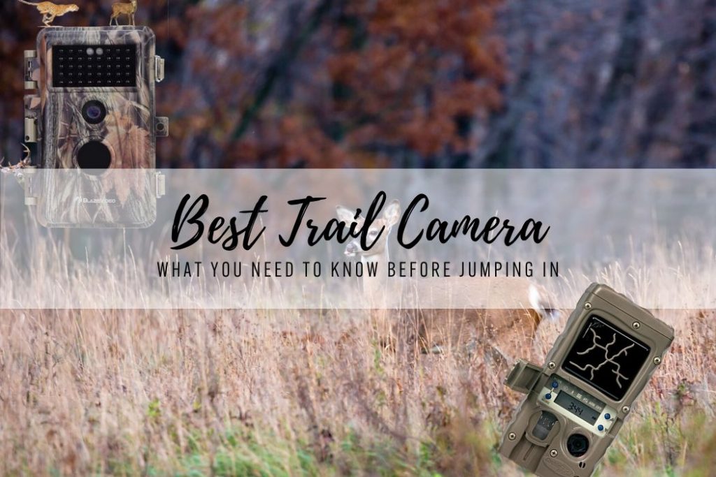 Best Trail Camera