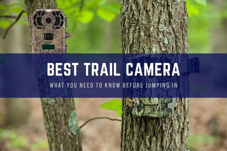 The 12 Best Trail Camera Reviews in 2020 [Buying Guide] Reviews Storm
